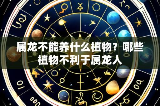 属龙不能养什么植物?哪些植物不利于属龙人