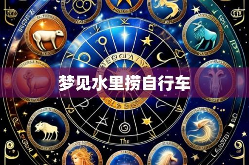梦见水里捞自行车