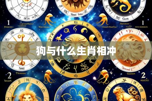 狗与什么生肖相冲