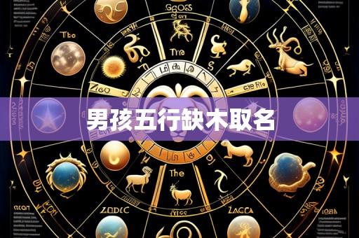 男孩五行缺木取名