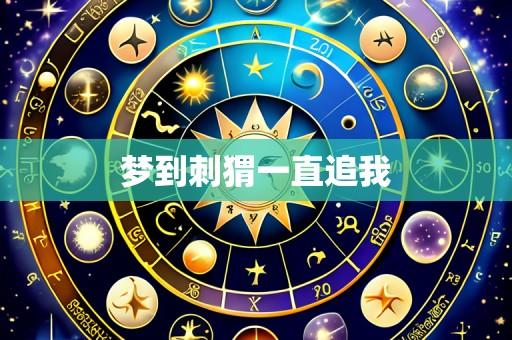 梦到刺猬一直追我