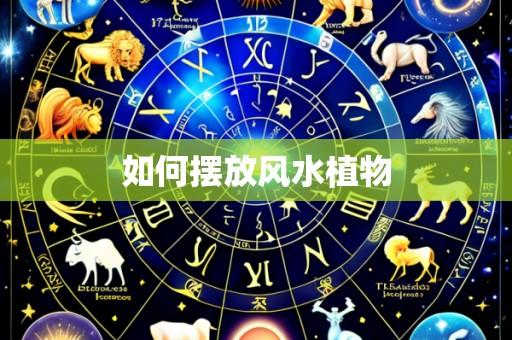 如何摆放风水植物