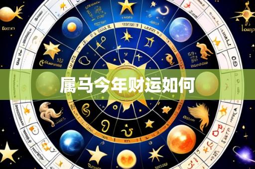 属马今年财运如何