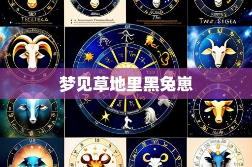 梦见草地里黑兔崽