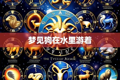 梦见狗在水里游着