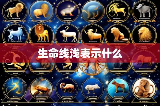 生命线浅表示什么