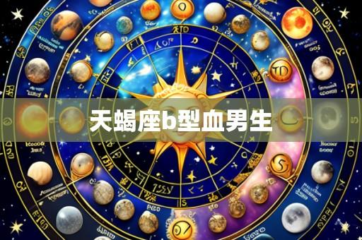 天蝎座b型血男生