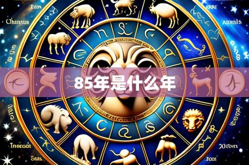 85年是什么年
