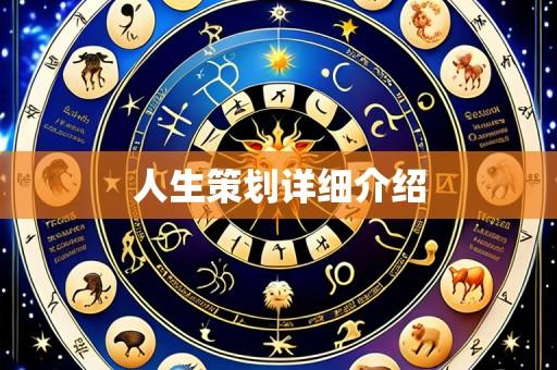 人生策划详细介绍