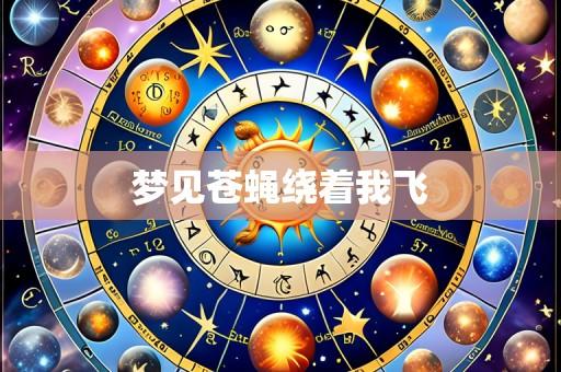 梦见苍蝇绕着我飞