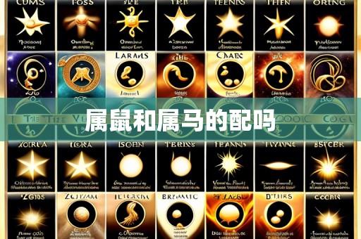 属鼠和属马的配吗