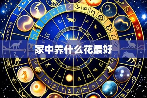 家中养什么花最好