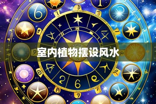 室内植物摆设风水