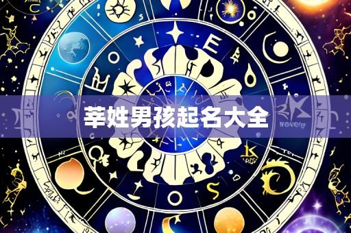 莘姓男孩起名大全