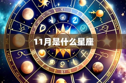 11月是什么星座