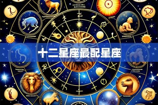 十二星座最配星座