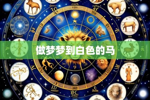 做梦梦到白色的马