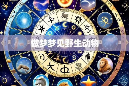 做梦梦见野生动物