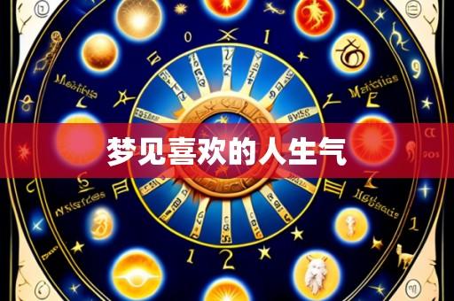 梦见喜欢的人生气