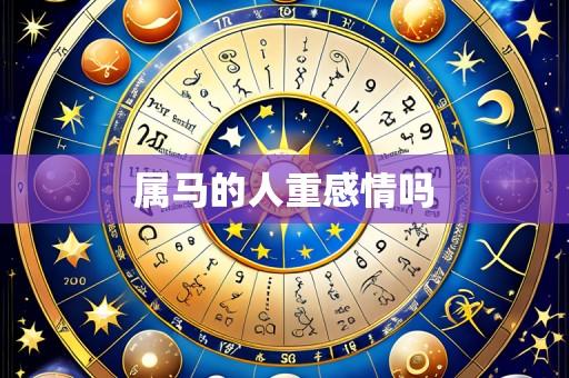 属马的人重感情吗