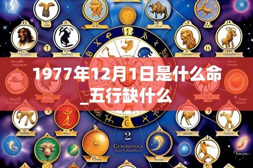 1977年12月1日是什么命_五行缺什么