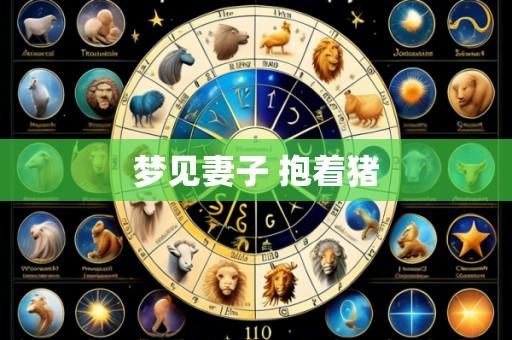 梦见妻子 抱着猪