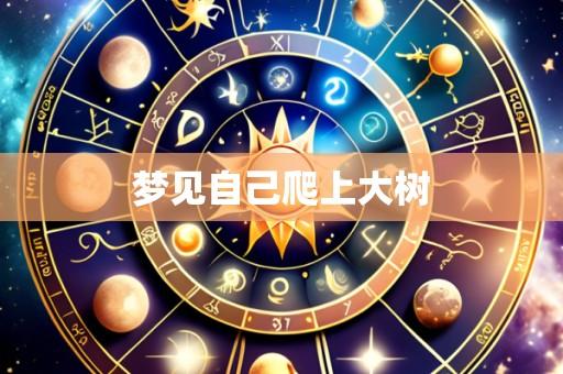 梦见自己爬上大树
