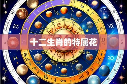 十二生肖的特属花