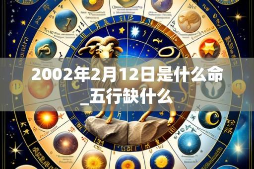 2002年2月12日是什么命_五行缺什么
