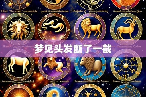 梦见头发断了一截