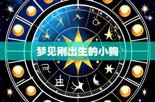 梦见刚出生的小狗