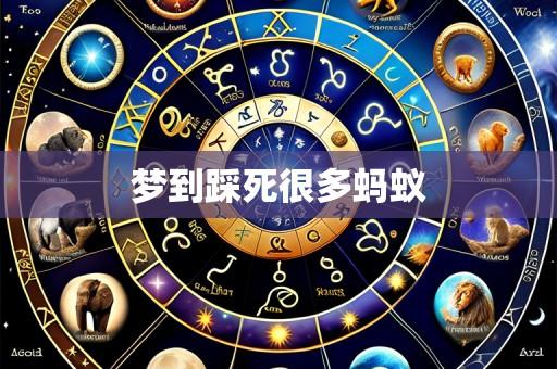 梦到踩死很多蚂蚁