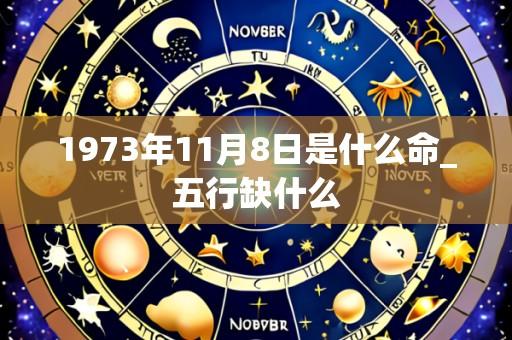 1973年11月8日是什么命_五行缺什么