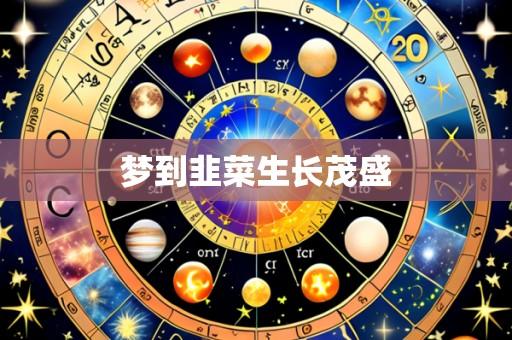 梦到韭菜生长茂盛