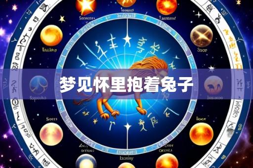 梦见怀里抱着兔子