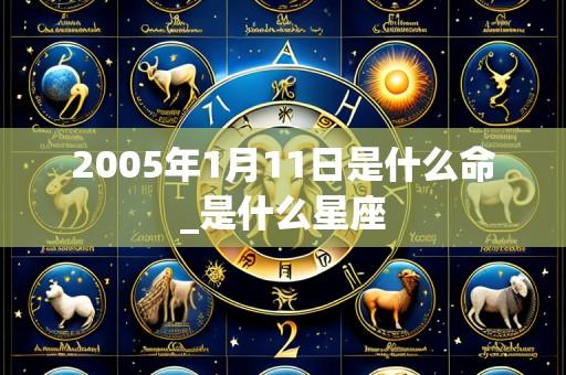 2005年1月11日是什么命_是什么星座