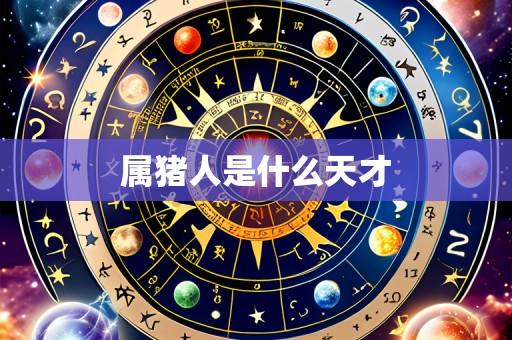 属猪人是什么天才