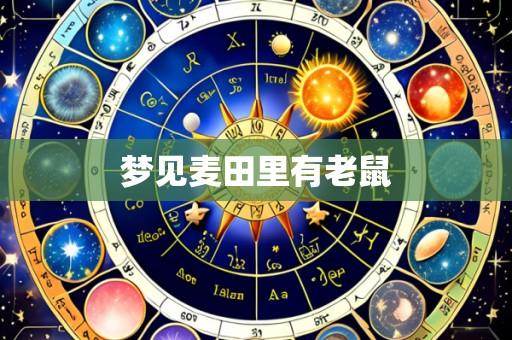梦见麦田里有老鼠