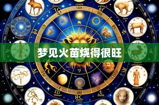 梦见火苗烧得很旺