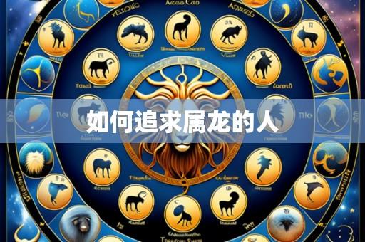 如何追求属龙的人