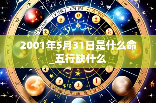 2001年5月31日是什么命_五行缺什么