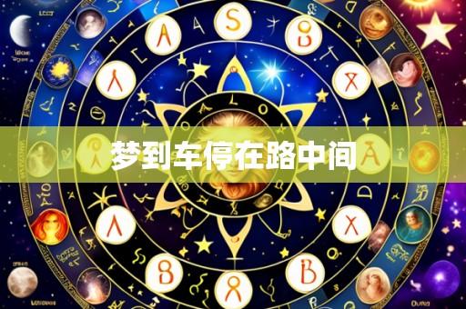 梦到车停在路中间