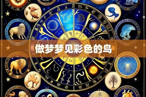 做梦梦见彩色的鸟