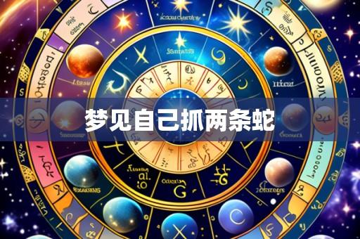 梦见自己抓两条蛇