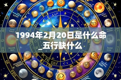 1994年2月20日是什么命_五行缺什么