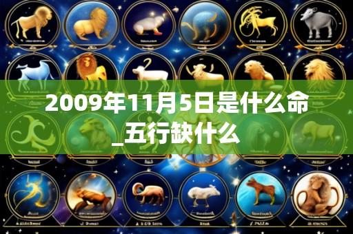 2009年11月5日是什么命_五行缺什么