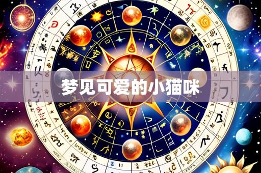 梦见可爱的小猫咪