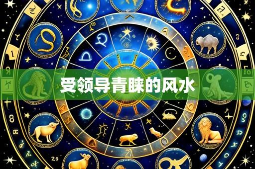 受领导青睐的风水