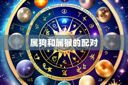 属狗和属猴的配对
