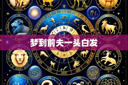 梦到前夫一头白发